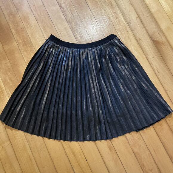 Zara Other - Zara Shimmer Pleated Skirt